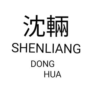 沈輛动画SHENLIANG头像