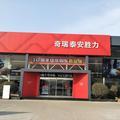 泰安胜力奇瑞头像