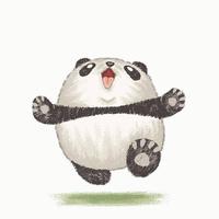 熊猫航拍来啦头像