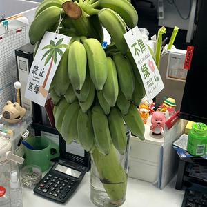 隐忍.头像