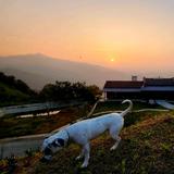 糊涂的乐游达人头像