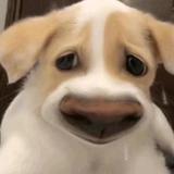 锐哥要努力头像