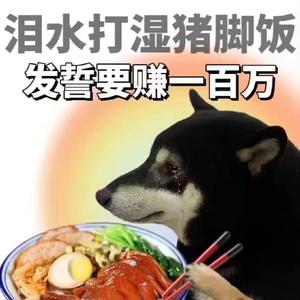 猫meme小剧场头像