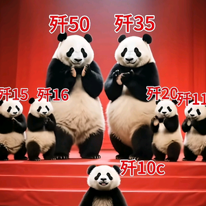 蓝领六六头像