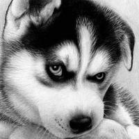 小楼听风灬头像