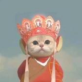 卡罗尔3w7头像