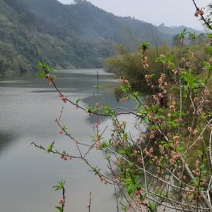 六都果场头像