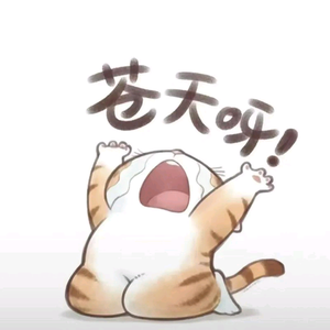 分秒必争帆船ci头像