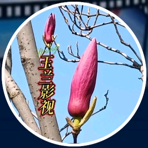 影视音乐娱乐头像