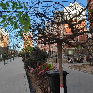 奥特曼与光头强头像