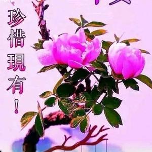 梦成真w17O头像