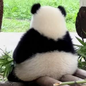 悦悦的随记头像