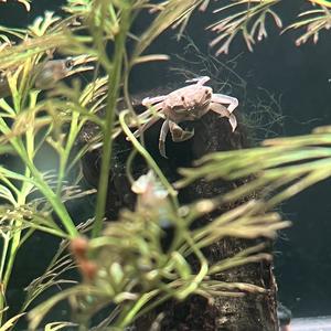 山顶上观云的墨客头像