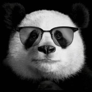 可爱泊头ii头像