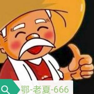 鄂-老夏666头像