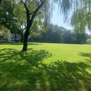 紫气东来的东头像