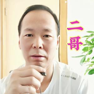 二哥带你看世界头像