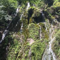 博学多才的一道美丽的风景线头像