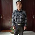 一帆风顺gfd头像