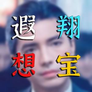 翔宝遐想头像