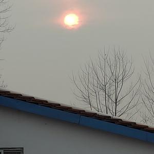淡泊的苹果0ml头像
