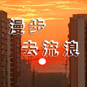 漫步去流浪头像