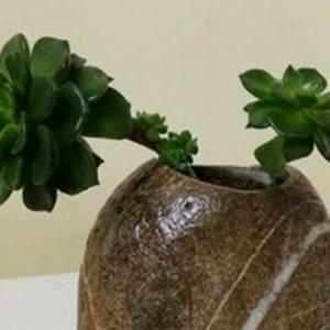 谢n老大头像