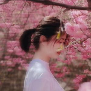 贾大人追剧头像