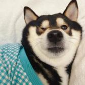 徐子粥头头像