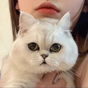 芙昂儿头像