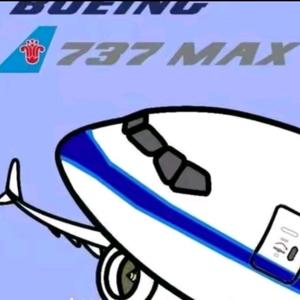 一架从南航跑出来的737max8头像