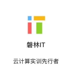 磐林IT官方头像