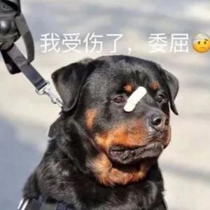 热情的葡萄w头像