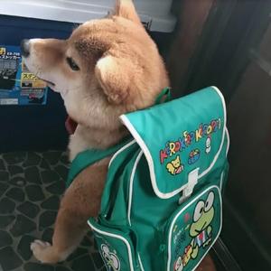 猪猪jsjsj头像