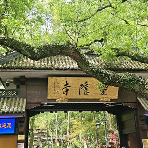 千纸鹤头像