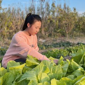 蕾蕾的乡村生活头像