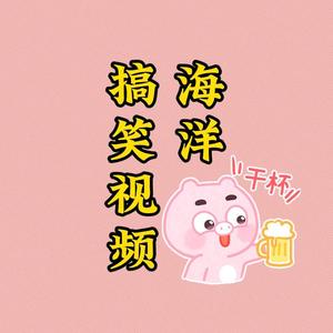 海洋搞笑视频头像