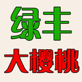 绿丰大樱桃苗木头像