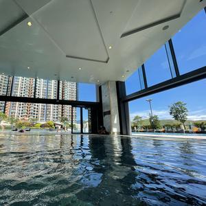 海哥在香港头像
