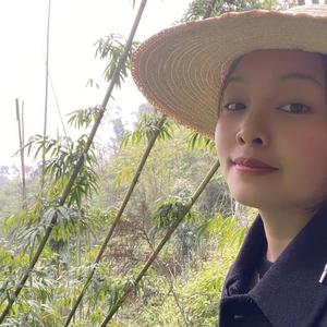 90后守村人阿三头像