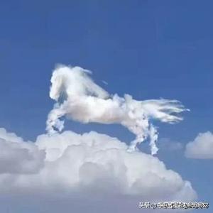 云飞扬天马行空头像