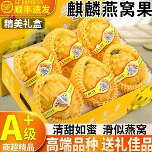 海岛高端靓果农业头像