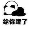 圣透菌头像