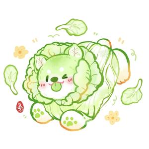 一颗菜狗头像