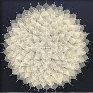 千叶菩提头像