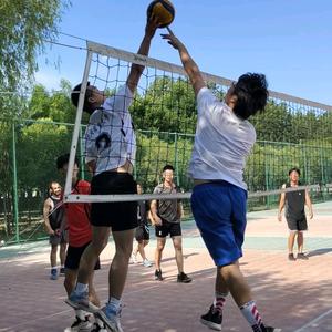 经贸排球头像