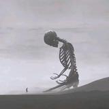 正规报废车回收头像