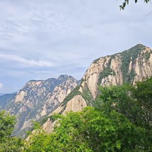 曲江楼市小张头像