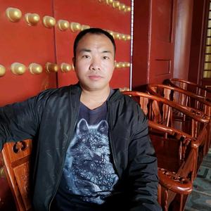老马在奔跑头像
