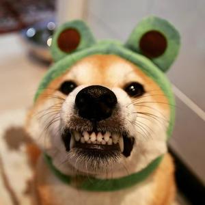 姜先森Ygo头像